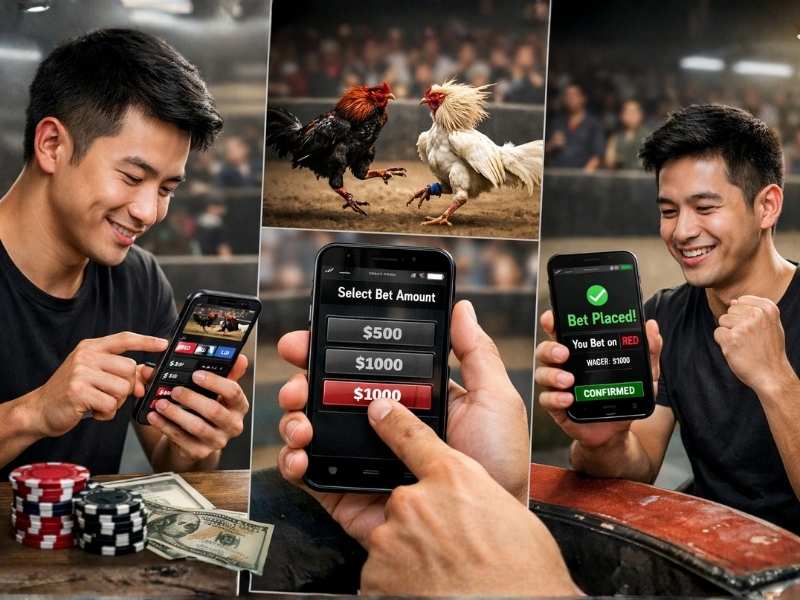 วิธีเล่น Ufabet พนันไก่ชนออนไลน์ ผ่านมือถือ เข้าใจการใช้งานบนหน้าจอมือถือแบบเป็นขั้นตอน